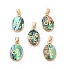 Constellation Natural Paua Shell Pendants KK-P265-01G-03-1