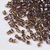 8/0 Two Cut Glass Seed Beads SEED-S033-15A-01-2