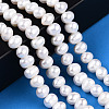 Natural Cultured Freshwater Pearl Beads Strands PEAR-N013-06V-2