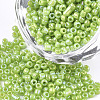 Opaque Glass Seed Beads SEED-S023-01A-04-1