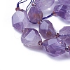 Natural Amethyst Beads Strands G-P422-23-2