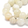 Natural Rainbow Moonstone Beads Strands G-O201A-17B-3