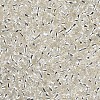 8/0 Glass Seed Beads SEED-A005-3mm-21-2