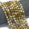 Natural Fossil Coral Beads Strands G-K389-B57-01-2