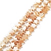 Star Natural White Shell Beads Strands BSHE-Q025-14B-1