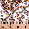 Glass Bugle Beads SEED-S032-09A-648-4