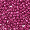 6/0 Glass Seed Beads SEED-S058-A-F451-3
