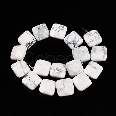 Natural Howlite Beads Strands G-T138-157-1