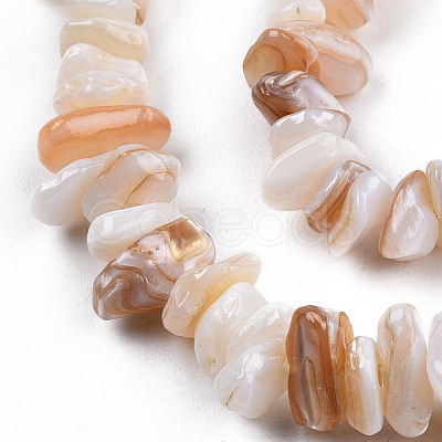 Natural Freshwater Shell Beads Strands SHEL-N026-210-1