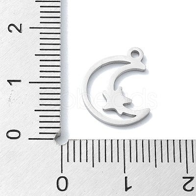 Non-Tarnish 304 Stainless Steel Charms STAS-C097-23P-1