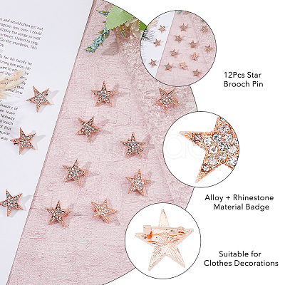 SUPERFINDINGS 12Pcs Star Brooch Pin JEWB-FH0001-43-1