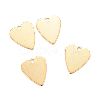 201 Stainless Steel Pendants STAS-K217-68B-G-1