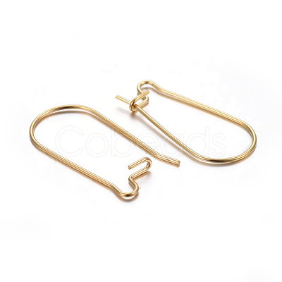 304 Stainless Steel Hoop Earring Findings X-STAS-P223-01G-03-1