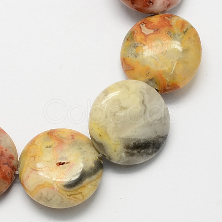 Flat Round Natural Crazy Lace Agate Beads Strands G-S110-05-1