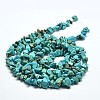 Chips Synthetic Turquoise Beads Strands G-N0134-08A-3
