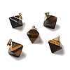 Natural Tiger Eye Pendants G-P474-03G-04-1