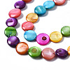 Natural Freshwater Shell Beads Strands SHEL-S278-019A-3