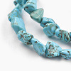 Natural Magnesite Beads Strands TURQ-G101-03-4