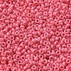 Baking Paint Glass Seed Beads SEED-P006-03A-08-3