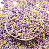 Opaque Baking Paint Glass Seed Beads SEED-K009-01A-27-2