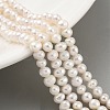 Natural Cultured Freshwater Pearl Beads Strands PEAR-C003-07E-2