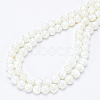 BENECREAT 2 Strands Natural Trochid Shell/Trochus Shell Beads Strands BSHE-BC0001-07-4