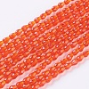 Faceted Glass Beads Strands GLAA-A036-F16-1