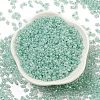 Ceylon Glass Seed Beads SEED-K009-02B-26-2