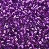 Glass Seed Beads SEED-S042-04B-20-3