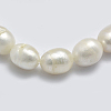 Natural Cultured Freshwater Pearl Beads Strands PEAR-K003-25A-3