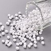 (Repacking Service Available) Glass Seed Beads SEED-C019-3mm-41-1