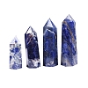 Point Tower Natural Sodalite Home Display Decoration PW-WG54681-03-4