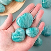 Natural Amazonite Heart Palm Stones PW-WG21258-01-2