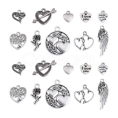 100pcs 10 Style Tibetan Style Alloy Charms TIBEP-CJ0001-37-1