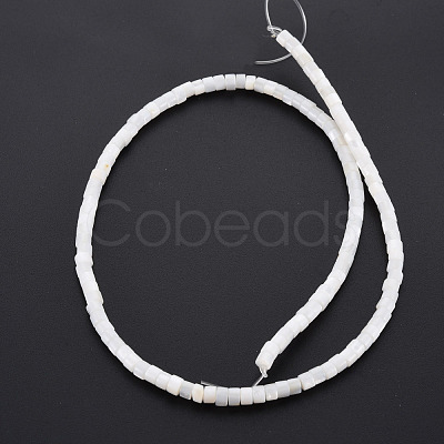 Natural Freshwater Shell Beads Strands SHEL-N027-09-1