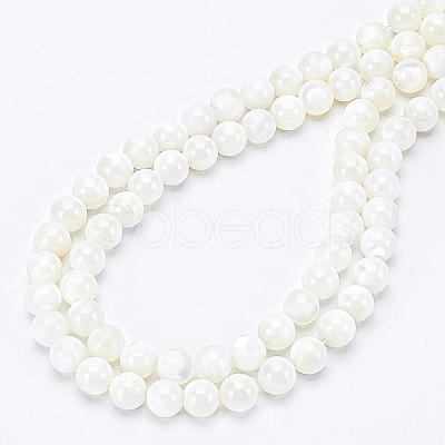 BENECREAT 2 Strands Natural Trochid Shell/Trochus Shell Beads Strands BSHE-BC0001-07-1