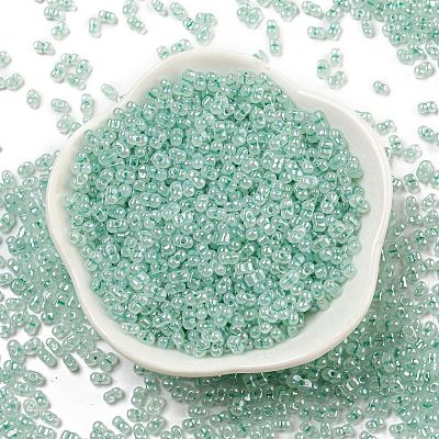 Ceylon Glass Seed Beads SEED-K009-02B-26-1