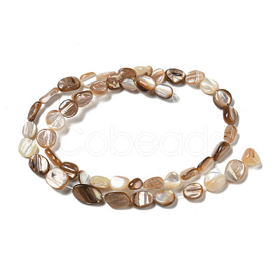 Natural Seashell Beads Strands SSHEL-H072-14-1