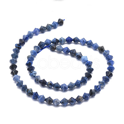 Natural Sodalite Beads Strands G-E569-D07-1