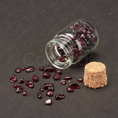 Transparent Glass Wishing Bottle Decoration DJEW-A001-01A-01-1