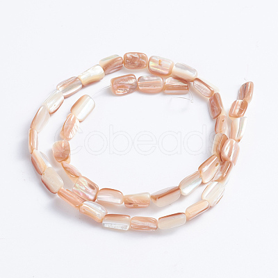 Natural Sea Shell Beads Strands SSHEL-L016-14-1