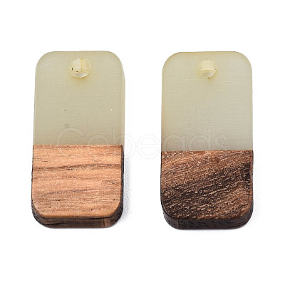 Two-tone Transparent Resin & Walnut Wood Pendants RESI-S384-008A-B05-1