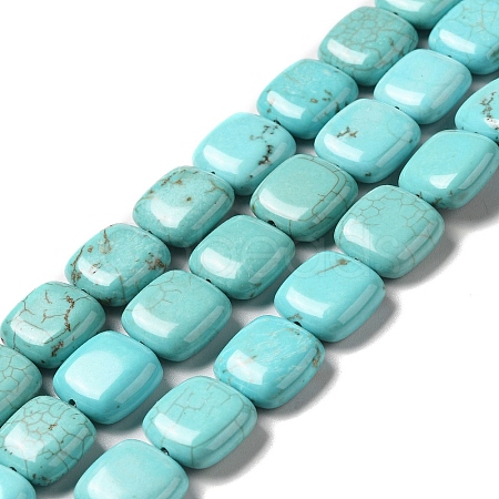 Natural Howlite Beads Strands G-C025-13-1
