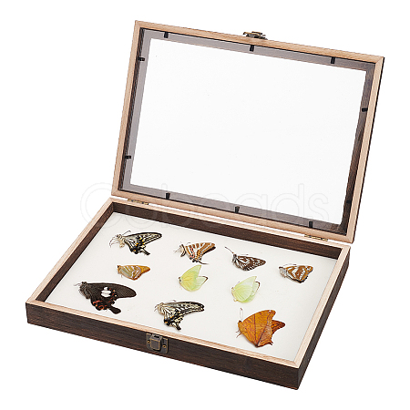 Wood Jewelry Presentation Boxes with White EVA Foam Mat Inside ODIS-WH0061-06A-1