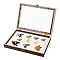 Wood Jewelry Presentation Boxes with White EVA Foam Mat Inside, Flap Cover Insect Specimen Display Case with Visible Acrylic Window, Rectangle, Coconut Brown, 31.2x22x4.7cm