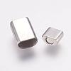 304 Stainless Steel Magnetic Clasps with Glue-in Ends STAS-L189-17P-2