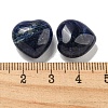 Natural Sodalite Beads G-P531-A10-01-3