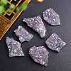 Electroplate Natural Drusy Amethyst Display Decorations PW-WG62588-01-2