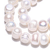 Natural Cultured Freshwater Pearl Beads Strands PEAR-N013-08G-01-5