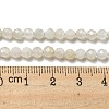 Natural Moonstone Beads Strands G-F736-01-AB-4